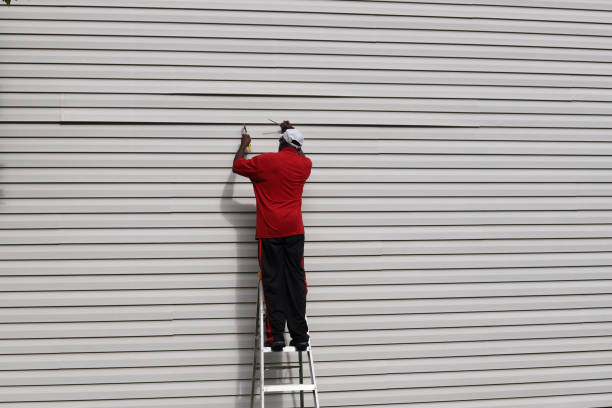 Best Siding Painting and Refinishing  in Selmer, TN